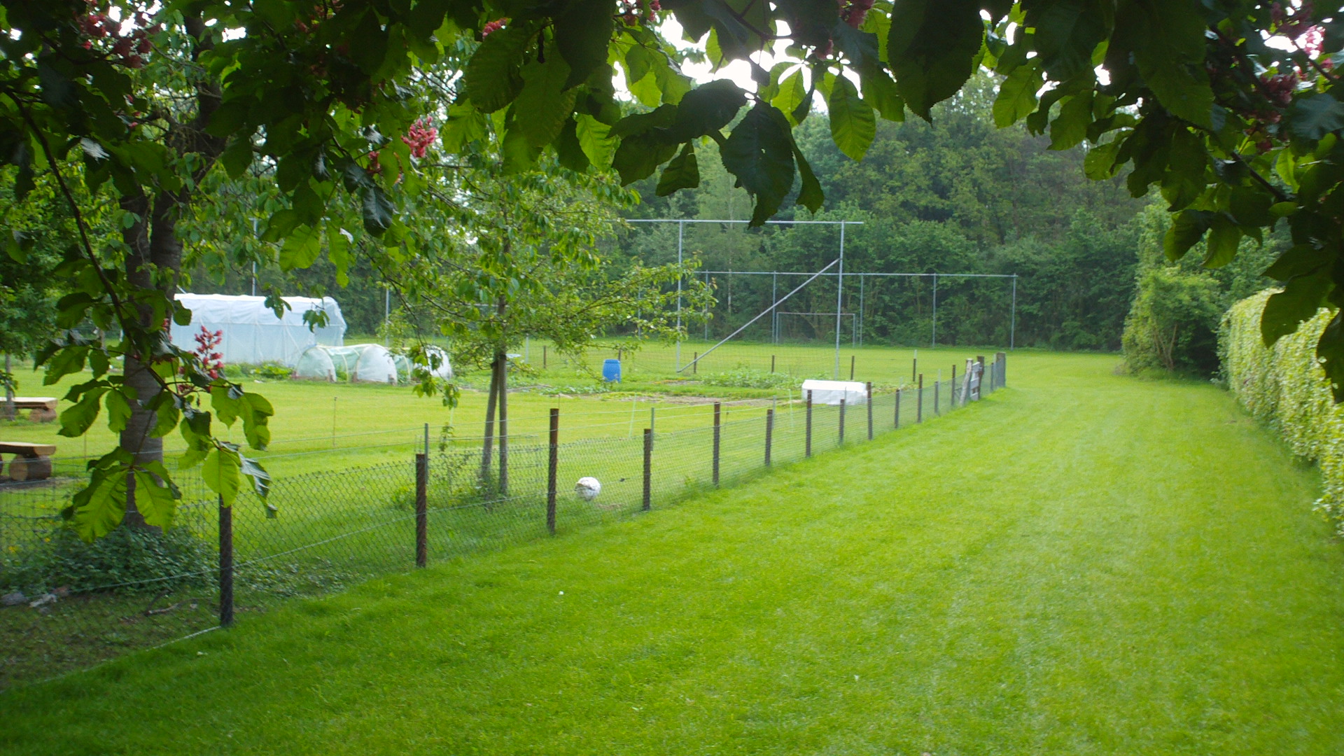 2012 HWK 012.jpg